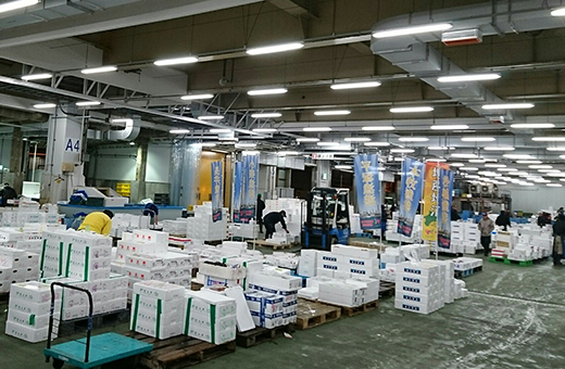 当日朝獲れ 丁寧に処理・出荷された魚が、翌日の市場に並びます