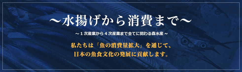 ～水揚げから消費まで～1次産業から4次産業まで全てに関わる森水産~私たちは「魚の消費量拡大」を通じて、日本の魚食文化の発展に貢献します。