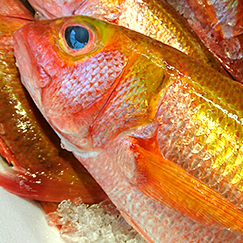 2.淡路島 産地ならではの味わいをそのままお客様へお届けいたします。