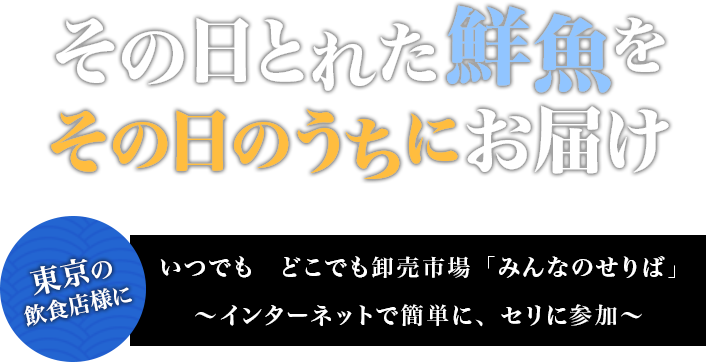 その日とれた鮮魚をその日のうちにお届け東京の飲食店様に鮮魚の卸売り通販サイト「みんなのセリバ」