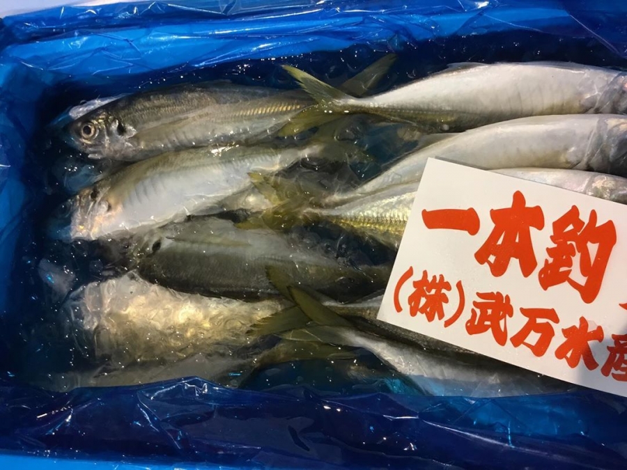 本日たくさん鮮魚が届きました！