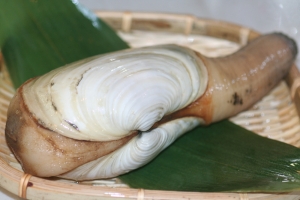 白ミル貝(ナミガイ)