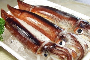 スルメイカ（釣）