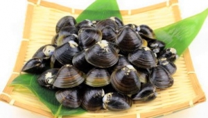 宍道湖 シジミ大