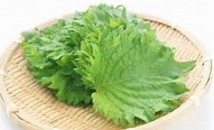 大葉